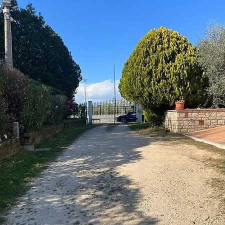 Woods Apartmán