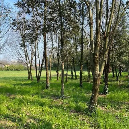 Woods Vérone