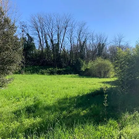 Apartment Woods Verona